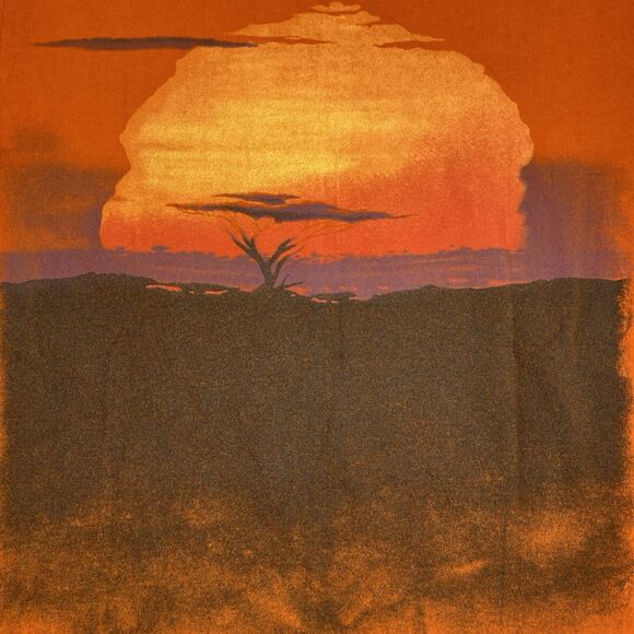 VTG Disney The Lion King T Shirt Unisex Graphic Orange Short Sleeve Size Small - Picture 2 of 8